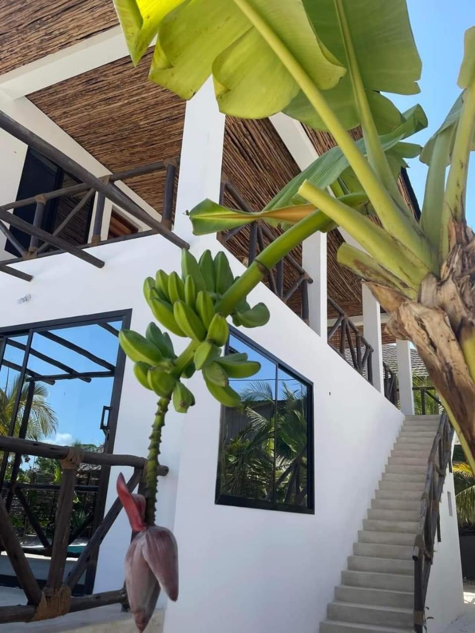 Sand Beach Boutique Villas Bwejuu Exterior photo